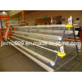 a Type Automatic Poultry Farm Equipment Layer Chicken Cage